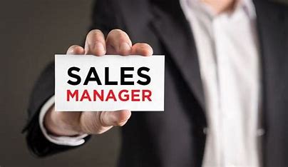 Regional Sales Manager 